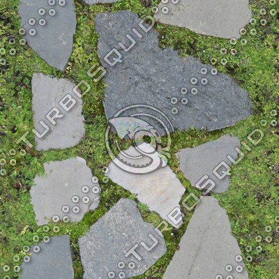 FlagstonePath.tga