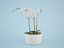 orchid3ds.rar