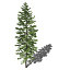 XfrogPlants Nikko Fir