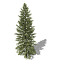 XfrogPlants Douglas Fir