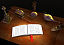 The Book