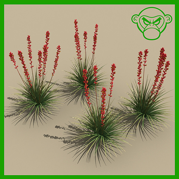 plant_red_yucca 3D Models