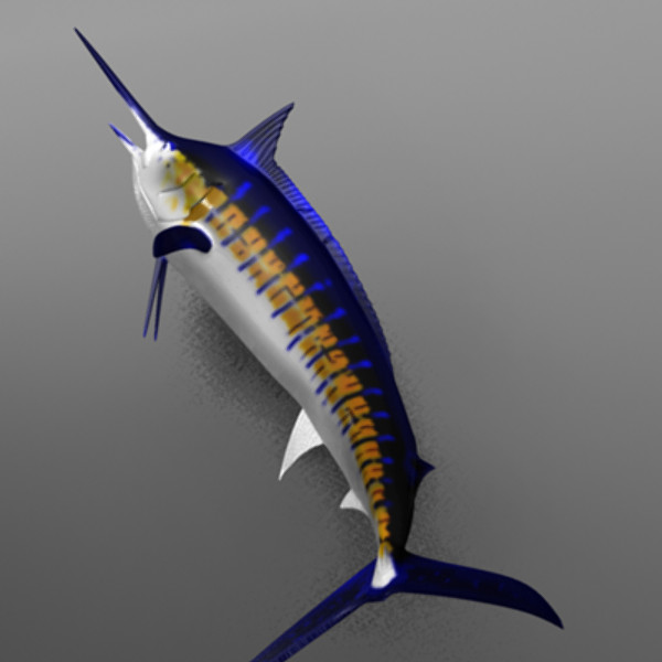 blue marlin fish ma - Blue Marlin by Inspired Grafix