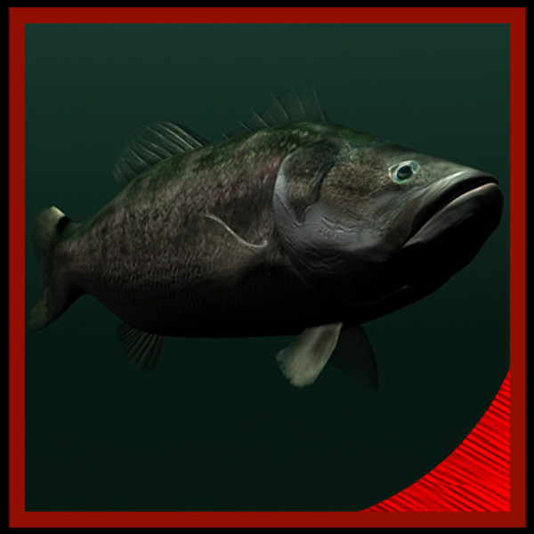 Largemouth Bass 3D Models