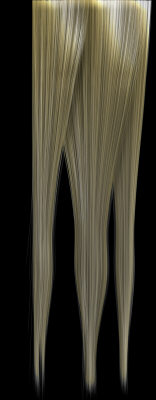 blondeHairTexture_000.tga