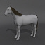 horse.zip