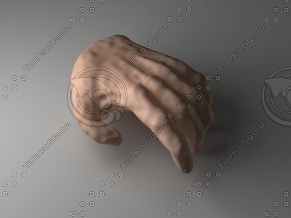 hand 3d 3ds - Hand by 3DaMaze