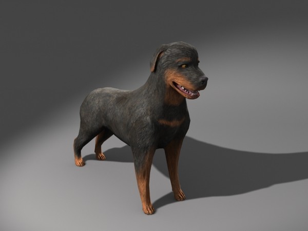 max rottweiler dog - Rottweiler.max by MidgetRentals