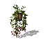 XfrogPlants Mona Lisa
