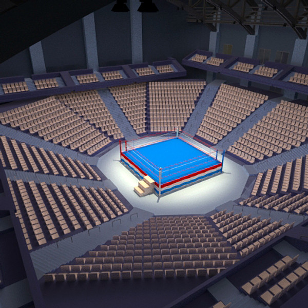 Box Arena 3D Models