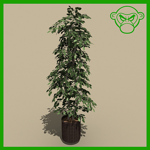 3d model plant potted - plant_potted_c by monkeyodoom