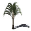 XfrogPlants Triangle Palm