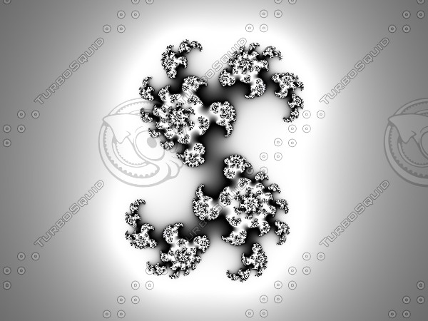 flower.jpg