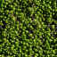 plantation_bed2.tga