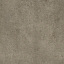 Beige Carpet