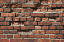 bricks collection (29 different bricks)