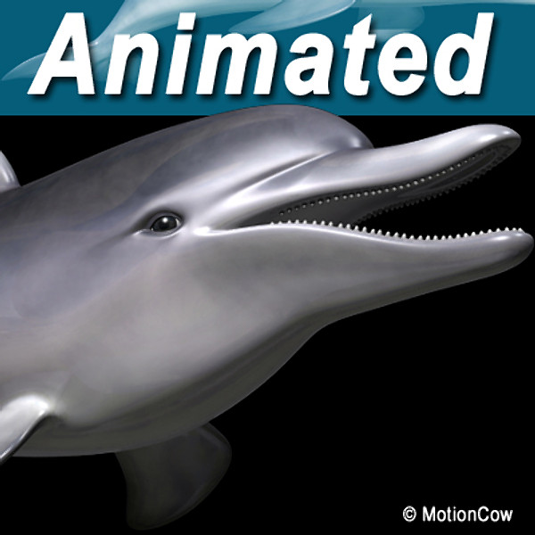 Dolphin ( Bottlenose ) 3D Models