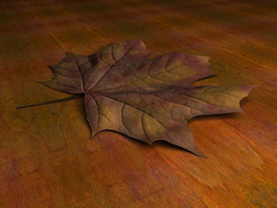 leaf 03