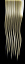 blondeHairTexture_071.tga