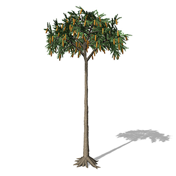 XfrogPlants Lepidodendron 3D Models