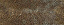 Komodo Dragon Skin