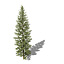 XfrogPlants Douglas Fir
