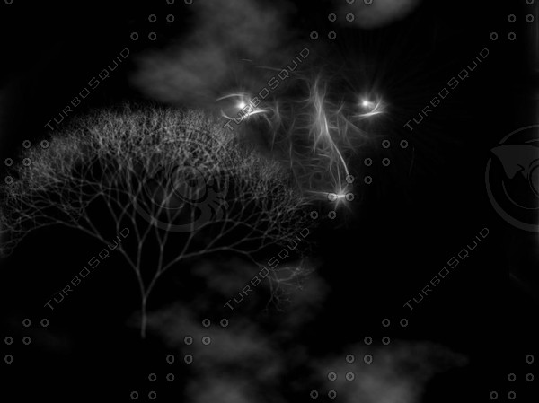 niteeyes.jpg
