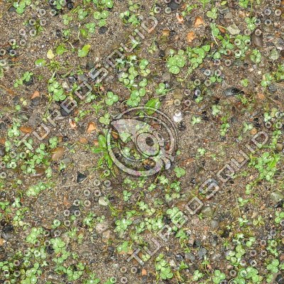 WeedyGround.tga