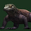 komodo dragon