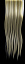 blondeHairTexture_091.tga