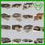house sets 1-3-4