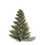 XfrogPlants Silver Fir