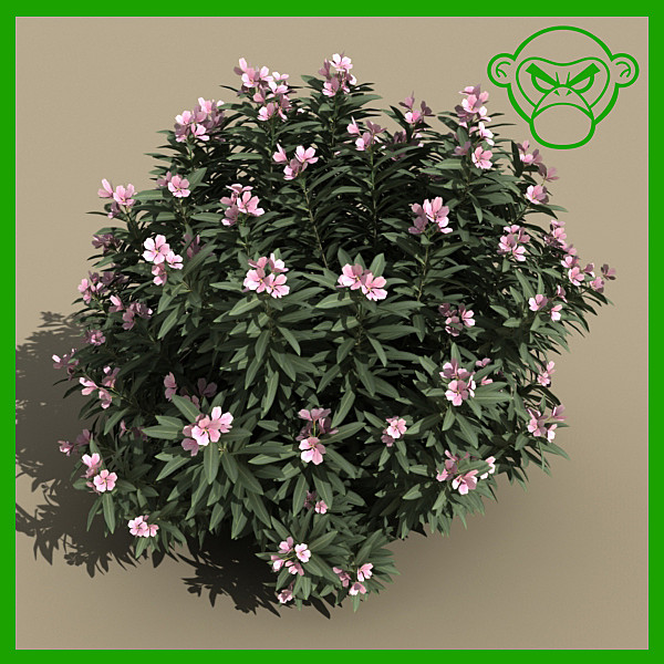 oleander_bush_pink 3D Models