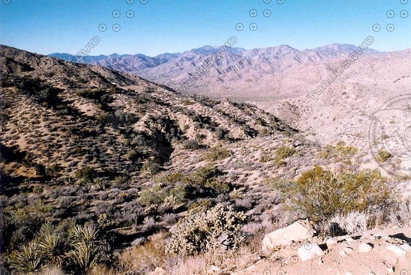 desert vista.jpg