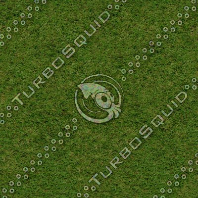 Tileable grass texture