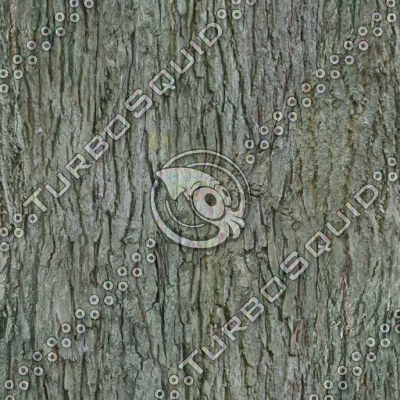 Tileable tree bark texture with normal map