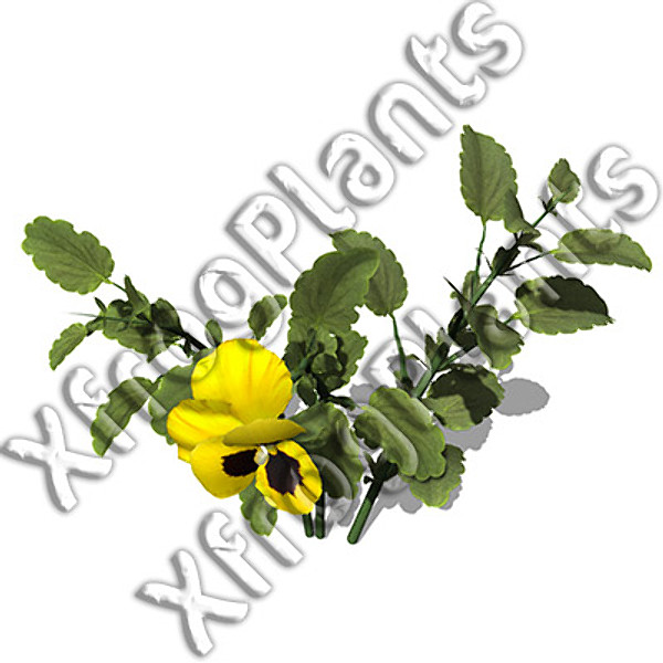 3ds max flowers 1 dvd mixed - XfrogPlants Mixed Popular Flowers 1 DVD by xfrog