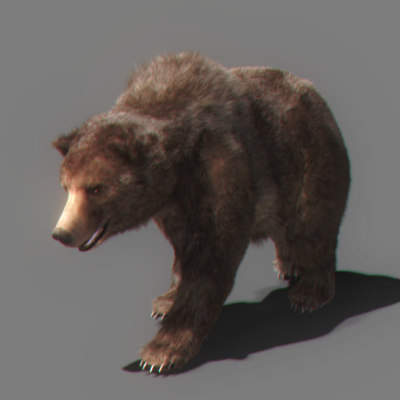 3ds bear - Bear Animated by NONECG