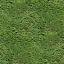 Texture bush/shrub