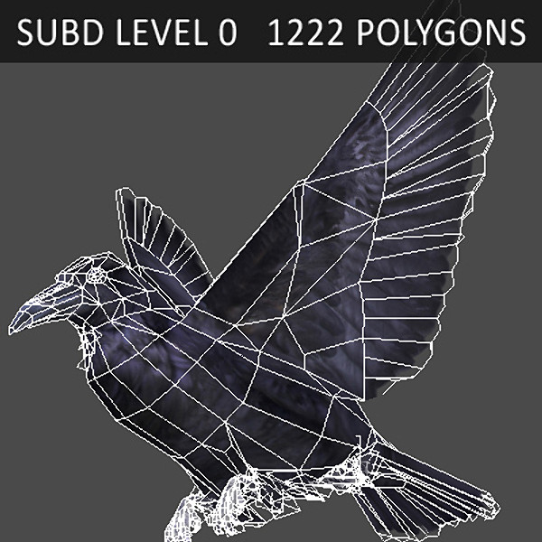 crow max - Crow Animated by NONECG