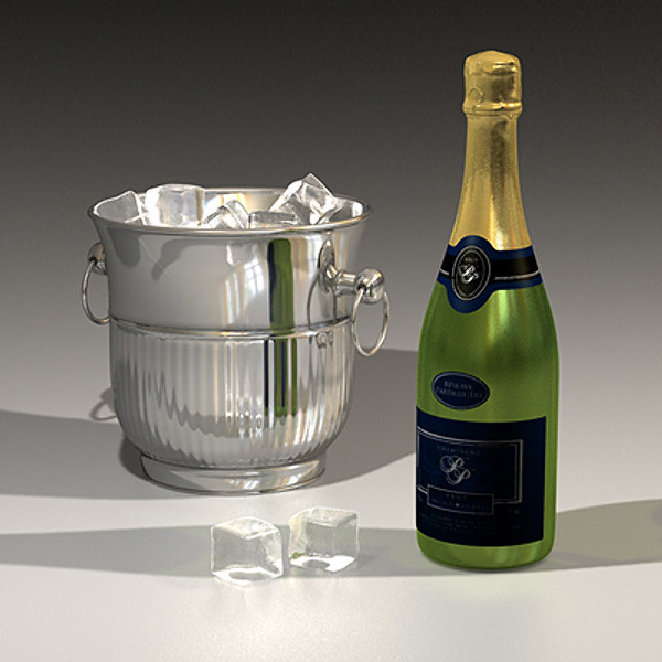 Champagne Bottle