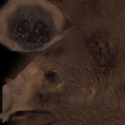 3ds bear - Bear Animated by NONECG
