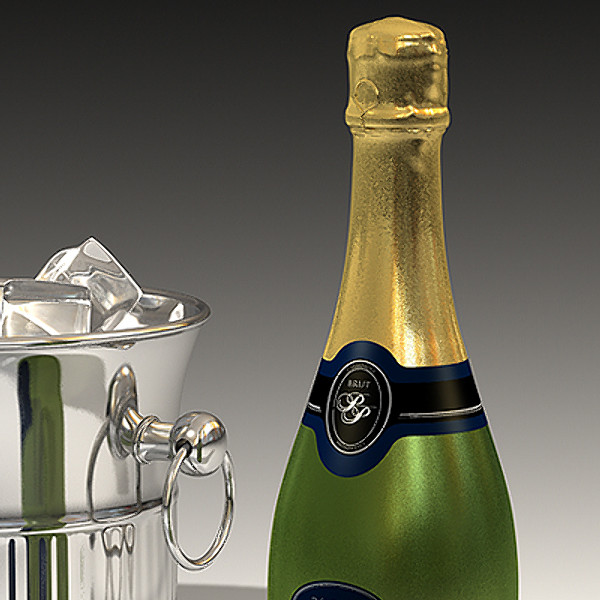 Champagne Bottle