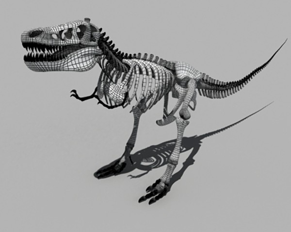 Dino T-Rex Skeleton