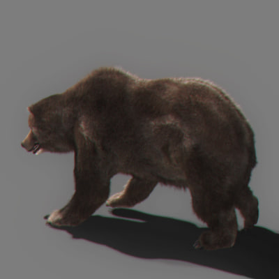 3ds bear - Bear Animated by NONECG