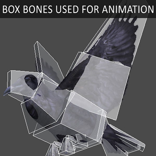 crow max - Crow Animated by NONECG