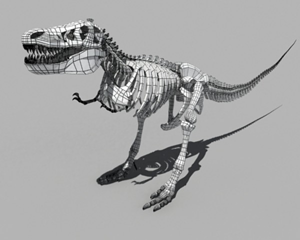 Dino T-Rex Skeleton