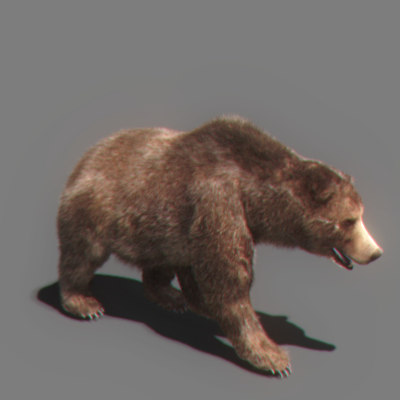 3ds bear - Bear Animated by NONECG