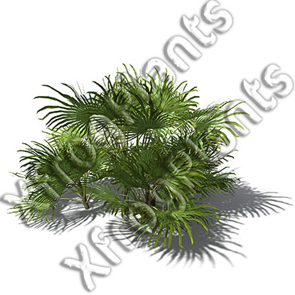 XfrogPlants Tropical Trees and Plants DVD