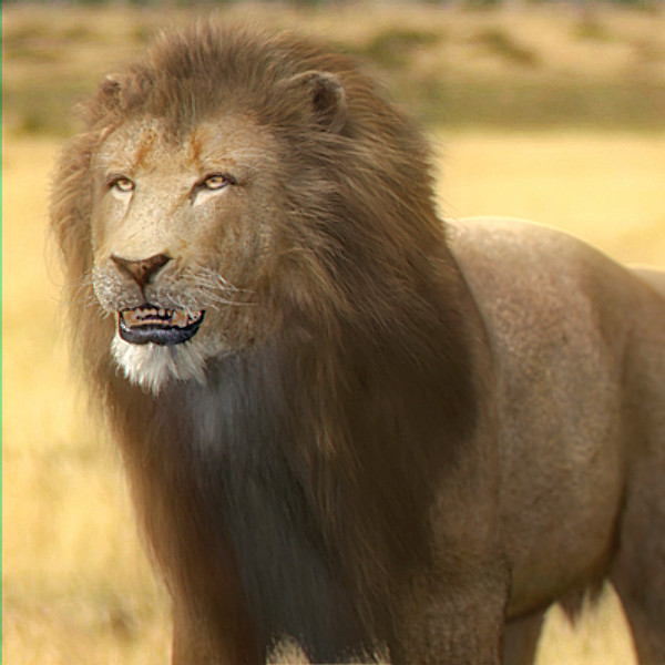 3ds max lion fur - Lion Animated by NONECG